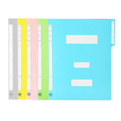 Government files 10 A4 Paper files Document storage files Office supplies