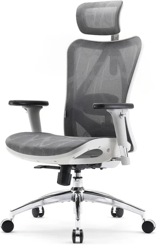 SIHOO M57 Ergonomic Office Chair, Desk Chair with Adjustable Lumbar