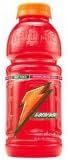 Gatorade Fruit Punch 20 oz. (591 mL) - 12 Pack