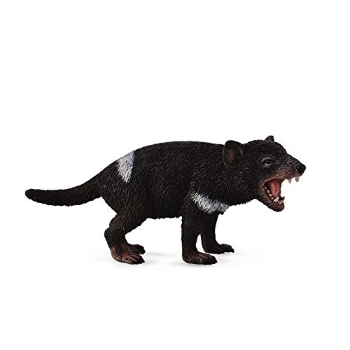 CollectA Wildlife Tasmanian Devil Toy Figure - Authentic Hand Painted Model