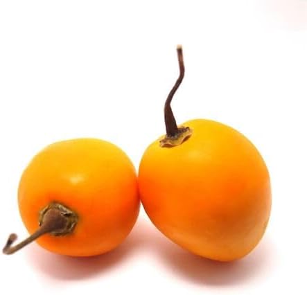 100pcs Tamarillo Fruit Seeds