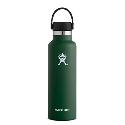 HYDRO FLASK Standard W Flex Cap Sage 21 Ounce, 1 EA