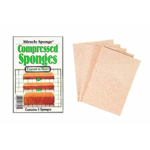 Color Wheel Compressed Sponges 4Pkg, 3X4