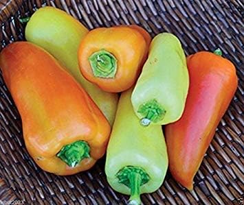 30 Feher Ozon Paprika Pepper seeds,From Hungary