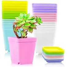Haawooky 24 Pack Colorful Flower Pots Square Plastic Plant Pots Succulent Planter Nursery Pots with Saucers for Your Room,Garden Office and Balcony Decor