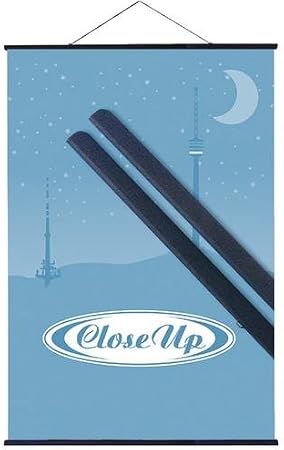 Close Up Plastic Poster Strips Black (61 cm) Poster Hanger Poster Rails Poster Strips Clamp Bars (24 Inches)