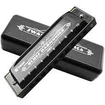 Blues Harmonica Mouthorgan 10 Holes Armonica Diatonic Harp Key of C Mouth Organ Metal Woodwind Music Instrument Gift