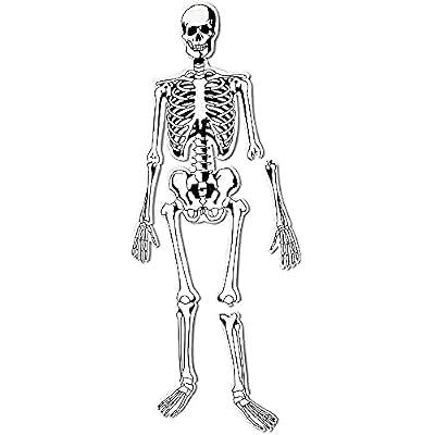 Learning Resources Skeleton Floor Puzzle - Science Classroom Must Haves, STEM Student Essentials, Practice Anatomy, Back to School Supplies for Teachers, Ages 3