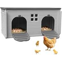 Chicken Coop