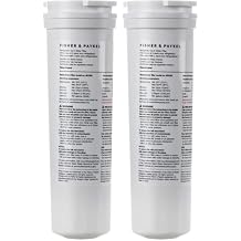 Fisher & Paykel OEM 862285 Refrigerator Water Filter, Pack of 2