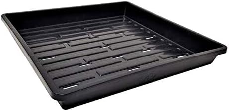 Bootstrap Farmer 1010 Microgreen Trays with Holes (10 Pack) | 1.25" Shallow Seedling Tray, Extra-Thick Polypropylene for Commercial Growers