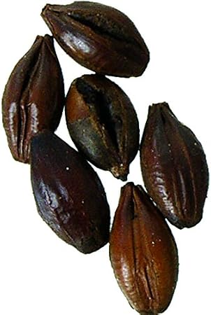 Malt - Black (Patent) Malt - 1 lb