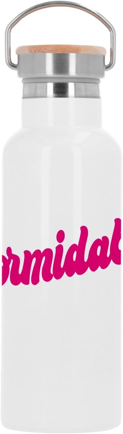 Stainless Steel Flask Thermo Insulated Bottle - Formidable Vintage Typo 70's - 500ml (17 oz)