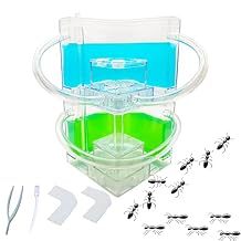 EXBEPE Large 2 Layer Gel Ant Colony Ecosystem Terrarium, Ant Habitat Science Learning Kit
