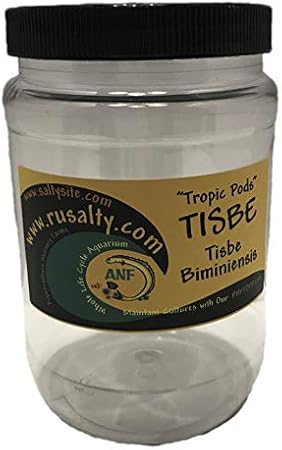 Tisbe Pods Copepods 1/2 Gallon or 64oz Size 22K Pods