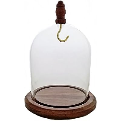 3x4 Pocket Watch Glass Display Dome Cloche with Hook, Real Walnut Base & Wood knob