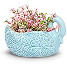 Dahlia 5 inch Ceramic Succulent Pot, Handmade Smooth Glazed Elegant Swan with Drainage Hole Blue