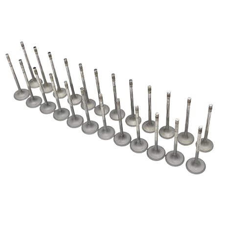 Engine 24pcs Intake& Exhaust Valve Set 2.0 2.2 L Compatible with M/W E36 320i E34 520i M54 M52 M50 M54B22 M52B20 2.0L 2.2L V6 Gas