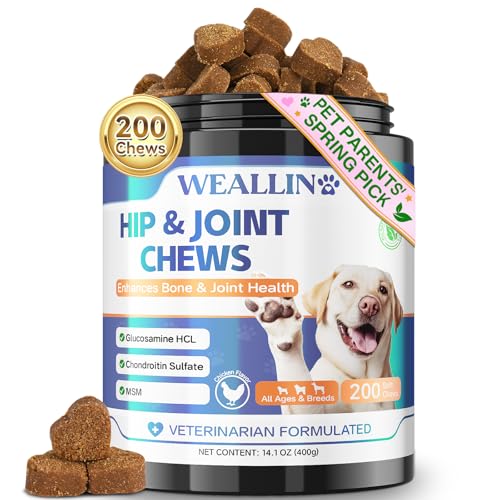 Joint Supplement for Dogs - Dog Joint Supplement Glucosamine Hip and Joint Chondroitin Chews Treats for Dogs with MSM Lipid Mussels Vitamins Dog Joint Support for All Breed 200pcs