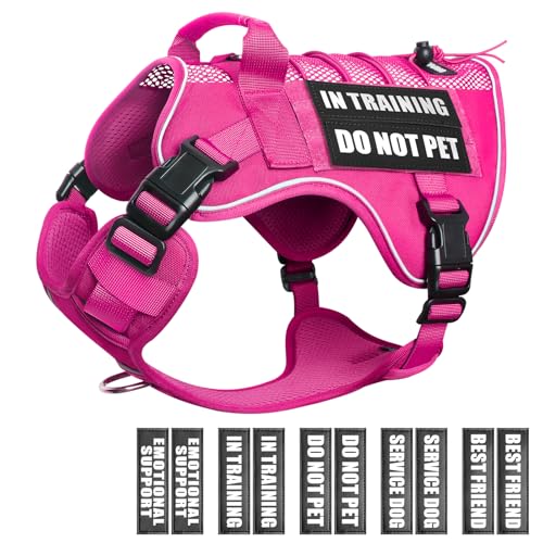 WINSEE Service Dog in Training Mesh Harness with 10 Pet Patches, Soft Air Mesh Breathable Tactical Dog Molle Vest, Reflective Military Pet Vest for Walking Hiking for Medium Dogs