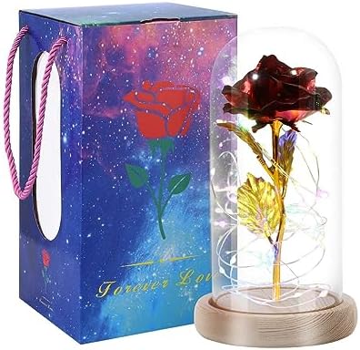 Enchanting Gold Foiled Red Rose Lamp in Glass Dome - Eternal Flower Gift for Mom, Women, Wife, Girlfriend on Birthday, Mothers Day, Anniversary or Graduation, AMJJ486