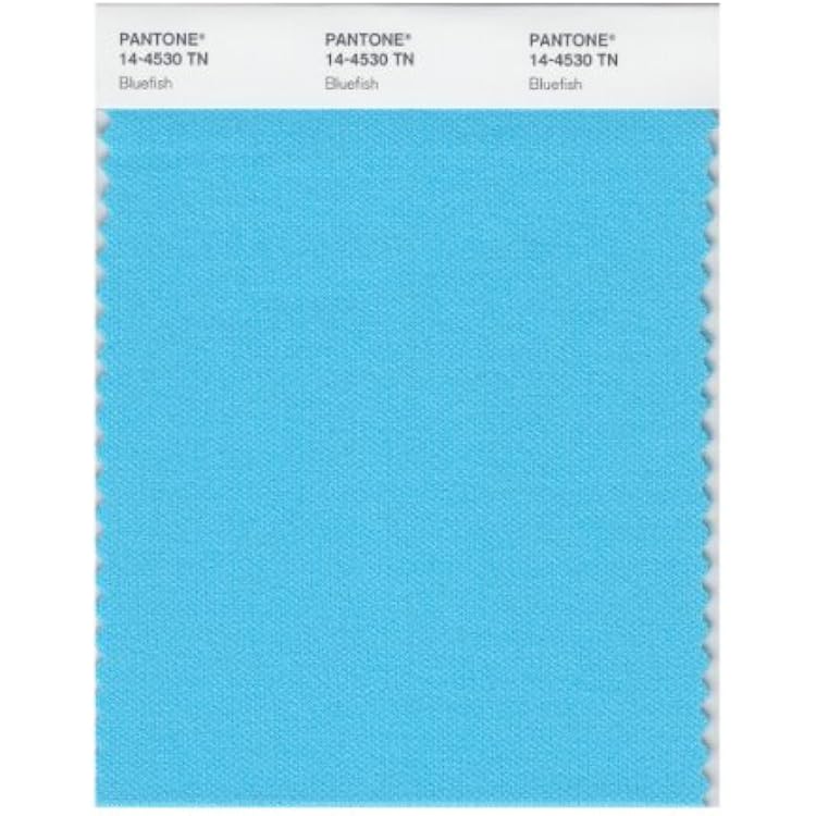 Pantone 14-4530 Nylon Brights Color Swatch Card