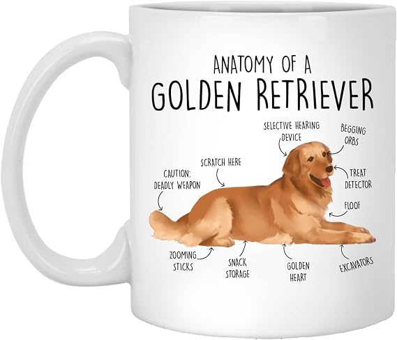 Funny Golden Retriever Coffee Mug, Cute Golden Retriver Gift, Dog Lover, Gift For Her, Him, Golden Retriever Mom, Dad, Anatomy, Birthday 11oz, White (MUG-PKMXFKEDN3-11oz)