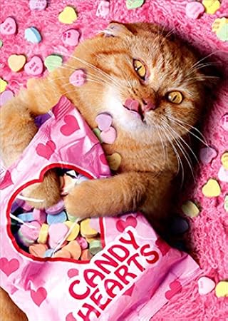 Sweetheart Cat Funny Valentine's Day Card