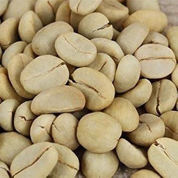 Dwarf Coffee Plant (Coffea Arabica Nana) - Packet of 5 Seeds