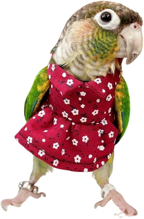 Bird Costume Bird Diaper Flight Suit Vintage Floral Dress Summer Skirt Clothes Cosplay Photo Prop for Parrots Lovebird Parakeet Cockatiel Small Animals Apparel (Green Cheek Conure)
