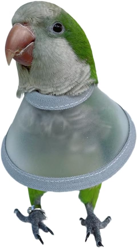 Adjustable Parrot Cone Collar, Safe and Practical Cotton Collar to Prevent Bites and Licking Wounds, to Help heal (2XL)