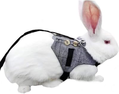 Hypeety Multipurpose Rabbit Vest Harness and Leash Set Small Animal Adjustable Soft Harness with Button Decor Formal Suit Style for Bunny Rabbit Kitten Small Animal Walking S