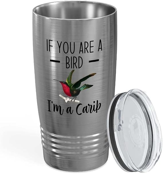 Bird Lover Silver Edition Viking Tumbler 20oz - Bird and Carib - Hummingbird Nest Cage Parrot Dad Gardening Outdoor Birdwatcher Feeder