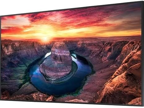Samsung 43" QMB Professional Display
