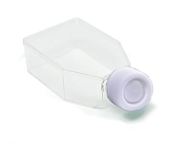SPL Cell Culture Flask 25 cm2 T25 Plug Cap, Non-Treated, Sterile, 200/Case