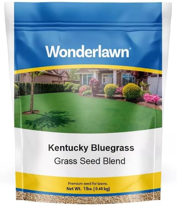 BARENBRUG USA TVKBG7 TV 7 lb Kentucky Bluegrass Seed
