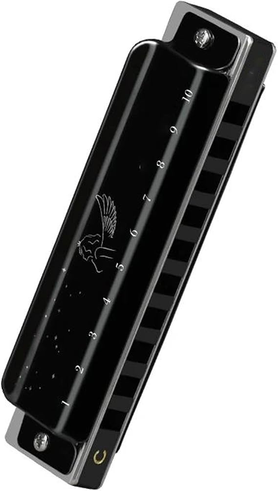 Beginners harmonica Diatonic Blues Harmonica Key Of C, Blues Harp Mouth Organ Harmonica 10 Holes With Case, Harmonica For Adults(2)
