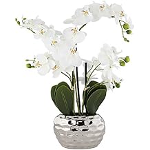 Dahlia Studios Potted Faux Artificial Flowers Arrangements Realistic White Phalaenopsis Orchid in Silver Pot Home Decoration Living Room Office Bedroom Bathroom Kitchen Dining Room 23" High