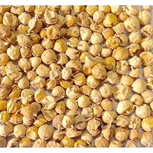 OnMexa Prime Paneer Dodi 5oz | Indian Rennet Withania Coagulans | Paneer Doda