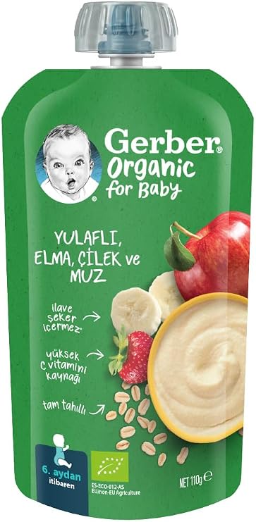 Gerber Organic Oatmeal Apple, Strawberry and Banana Puree 110g