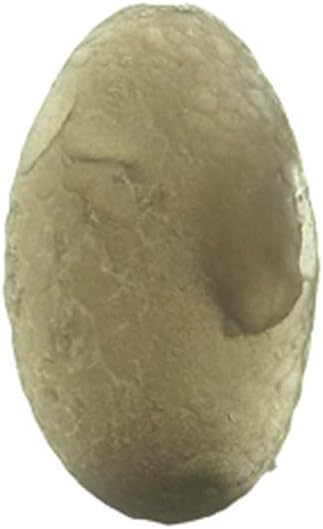 Starborn Authentic Saffordite (10-15 carat) Gemstone