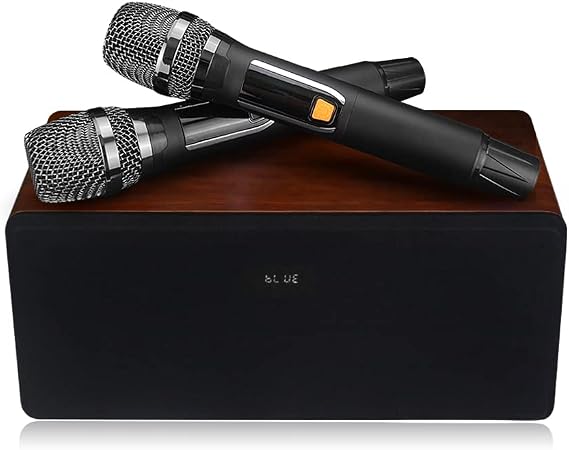 InAndOn USA Karaoke Speaker 30 watts with 2 Rechargeable Microphones