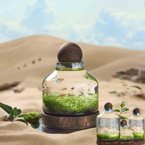 Ecological Fish Bottle Magical Glass Aquarium Micro Ecosphere Transparent Fish Tank Fish Bowel Ecological Teaching for Kids Students, A