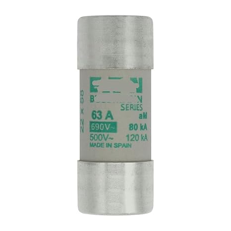 Fuse C22M63 63A 690Vac 22x58mm AM Fuse CE(C22M63 63A)