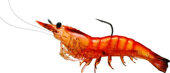 Livetarget Rigged Shrimp