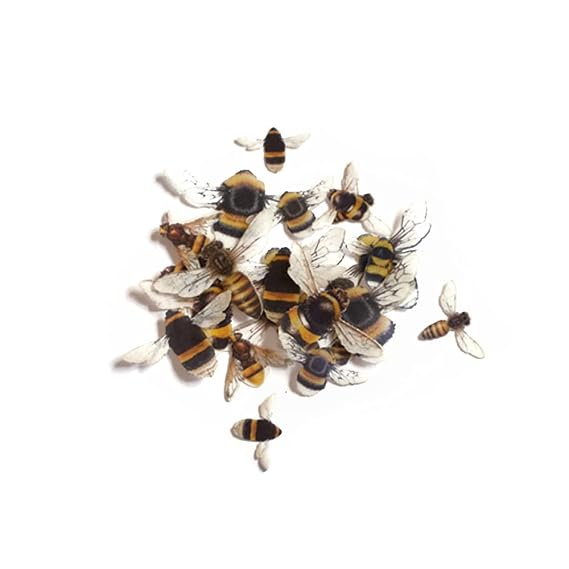 Crystal Candy Wafer-Paper Beautiful Bees
