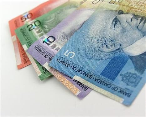 ConversationPrints CANADIAN CURRENCY GLOSSY POSTER PICTURE PHOTO paper money canada cash bills