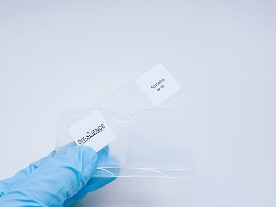 Amoeba Proteus Whole Mount Prepared Microscope Slides, 1pcs Amoeba Slide Shows Nucleus, Cytoplasm and The Cell Membrane
