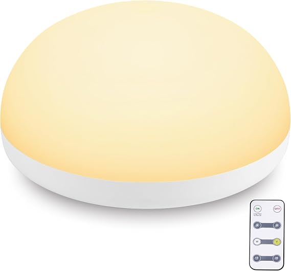 Rechargeable Night Light for Baby Nursery with Remote and Timer - Portable and Touch Control Night Light for Breastfeeding,Dimmable Cordless Lamp with Two Color Modes for Power Outages, White