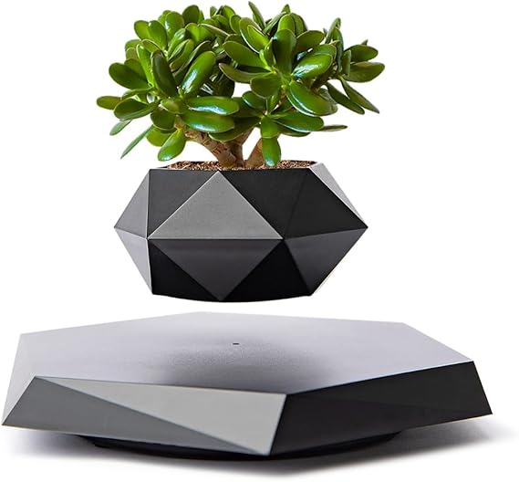 MOOCCI Levitating Plant Pot, Floating air Planter for Succulents | Air Bonsai and Artificial Plants, Home Office Desk Decor, Gift for Valentine's Day, Christmas, Anniversaries(Black)